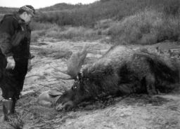 Moose Hunt 31G.JPG